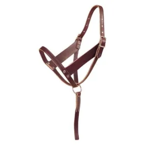 Foal Slip Halter