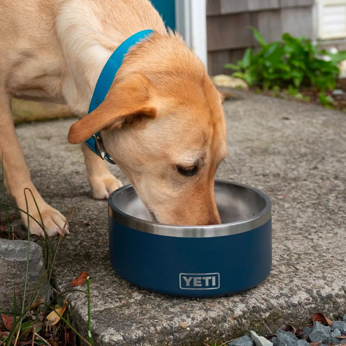 YETI Boomer 8 Cup Dog Bowl, Seafoam
